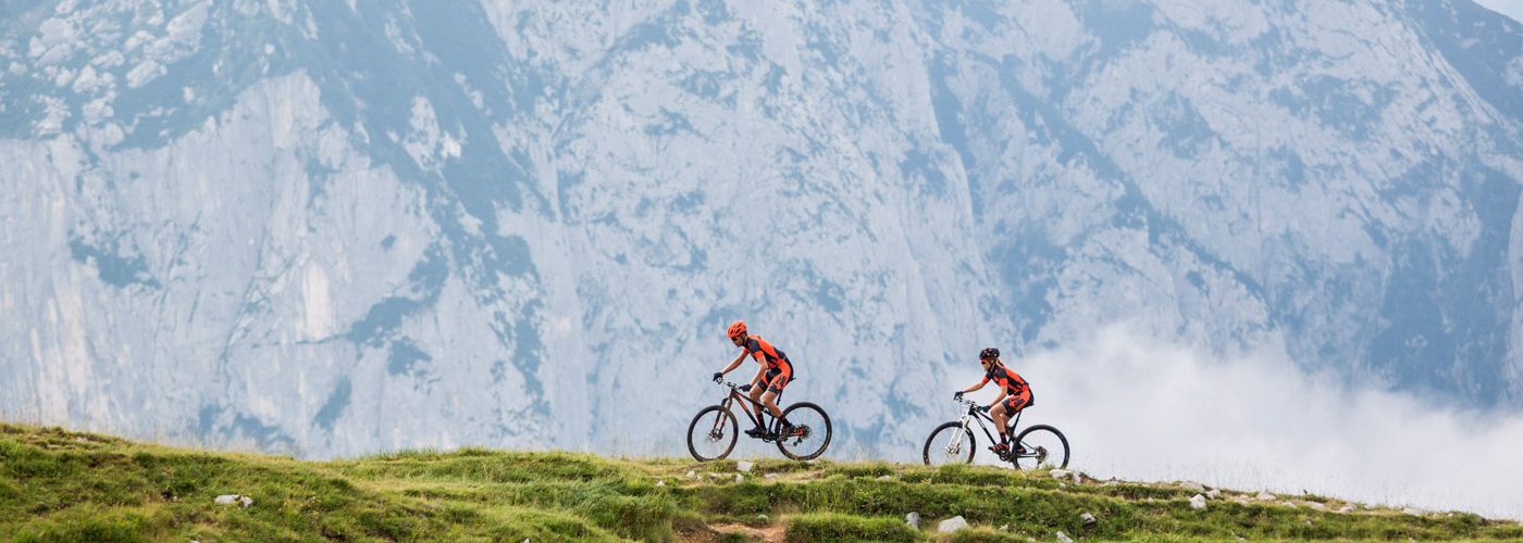 BikesFahrraeder FahrradSeiboldFreyung